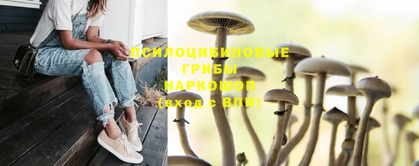 мяу мяу кристалл Дмитров