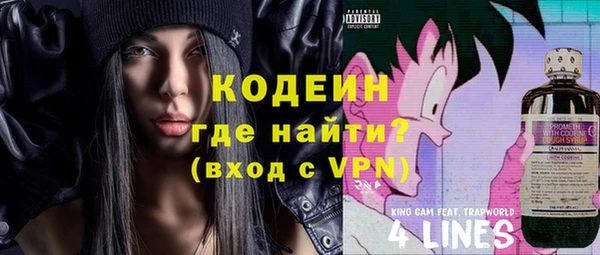 мет Елизово