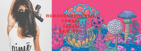 молекула духа Ельня